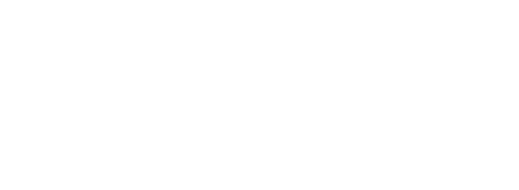 WAO Consultoria